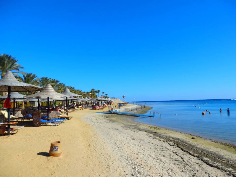 MarsaAlam Steigenberger Steigenberger Coraya Beach - Adults only