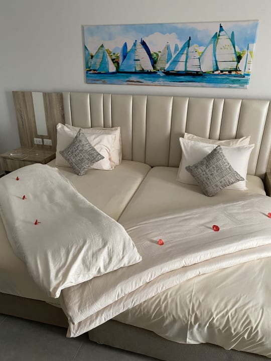Zimmer Pickalbatros Laguna Vista Hotel