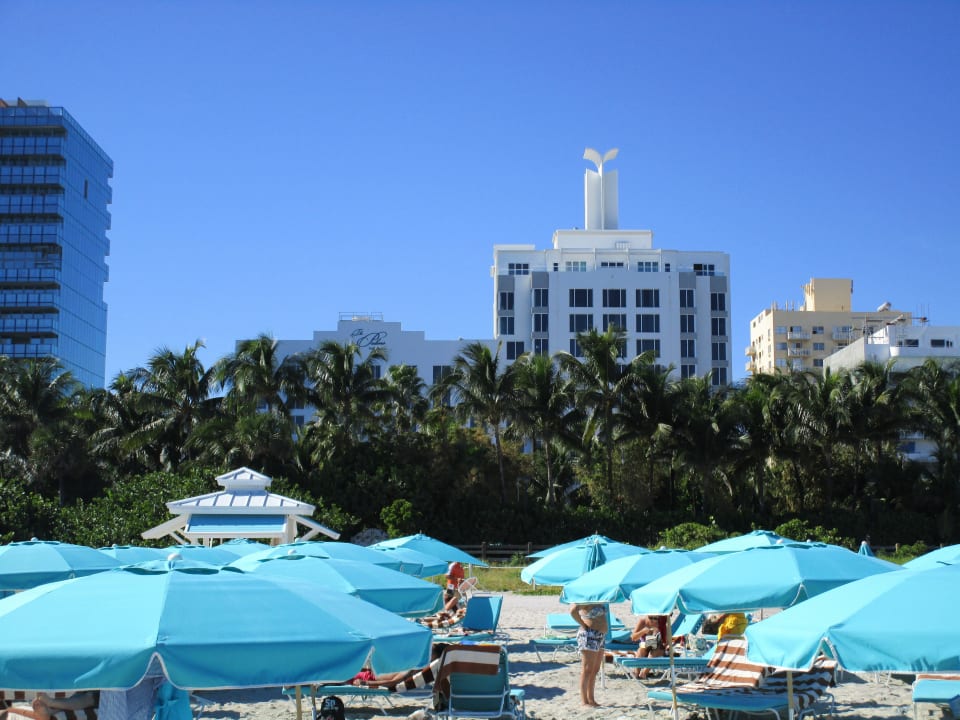 Blick auf das Hotel vom Strand aus The Palms Hotel & Spa