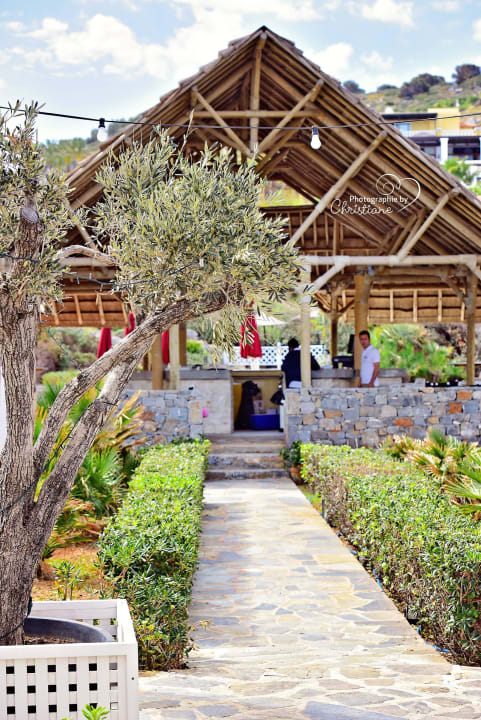Gartenbar Minos Imperial Beach Resort Milatos Crete