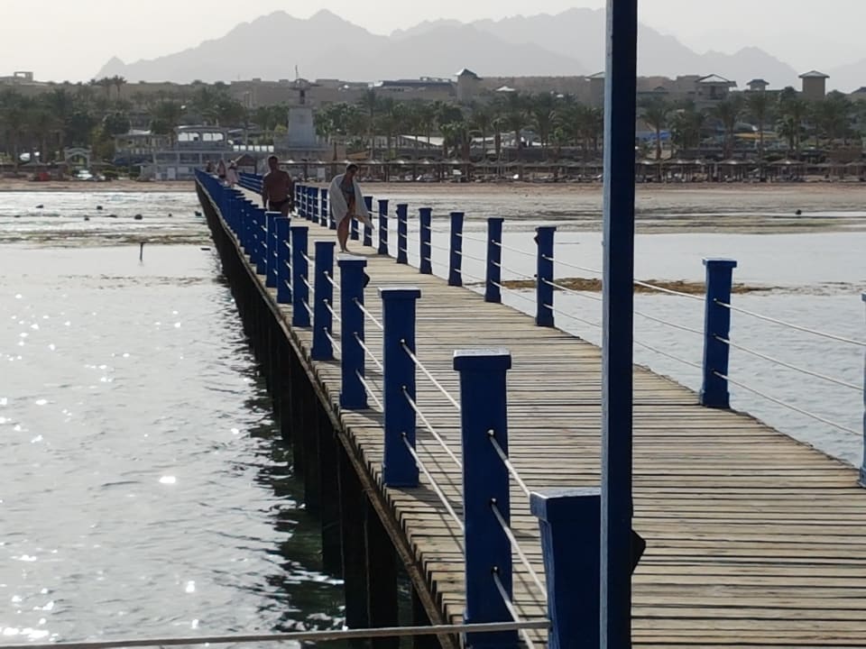 Blick zum Hotel Coral Sea Holiday Village