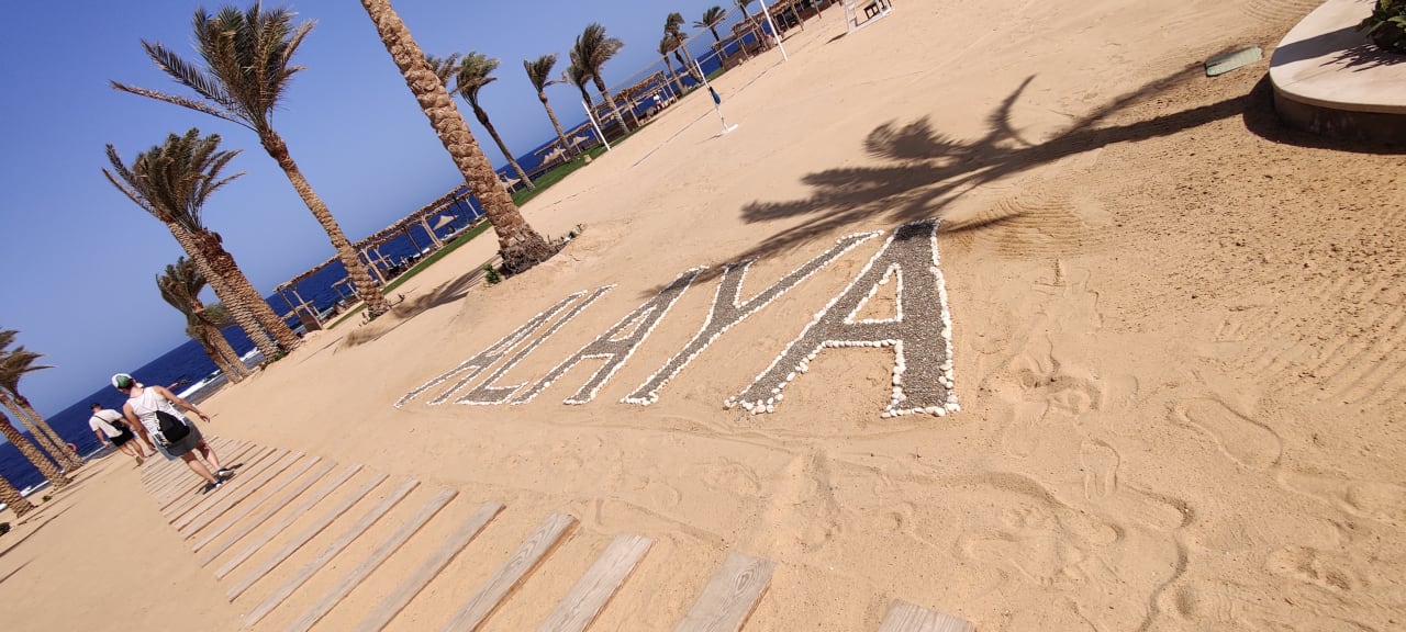 Strand Steigenberger Resort Alaya Marsa Alam - Red Sea - Adults only