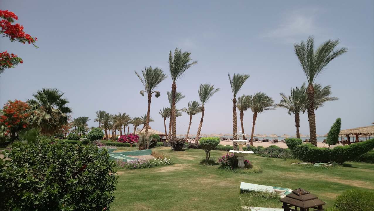 Gartenanlage Regency Plaza Aqua Park & Spa