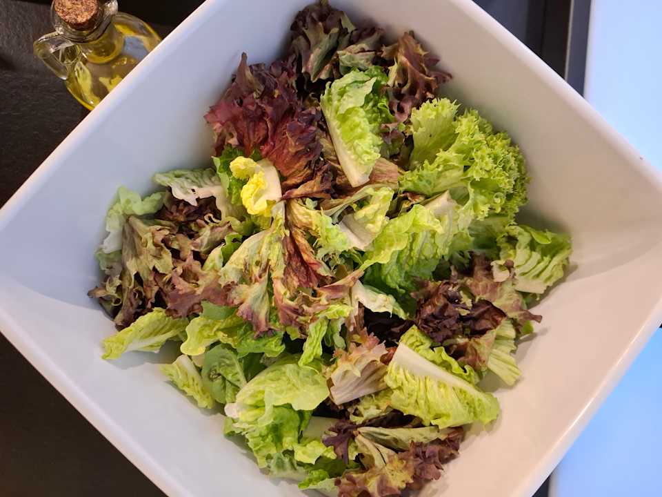 Gastro Hotel Convictus Cracovia for business & travellers