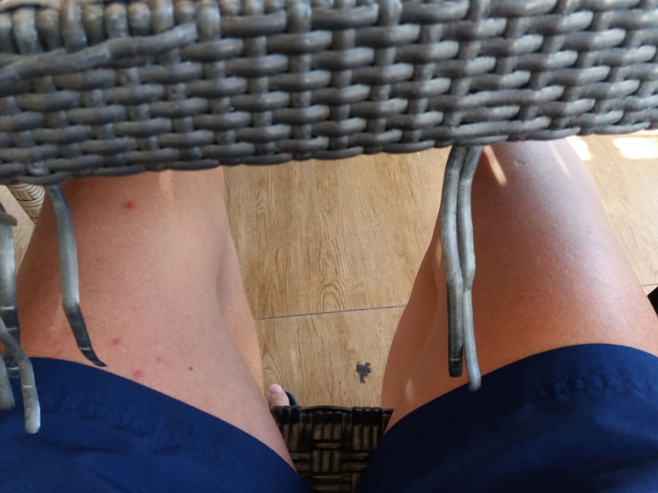 Gastro Latanya Park Resort