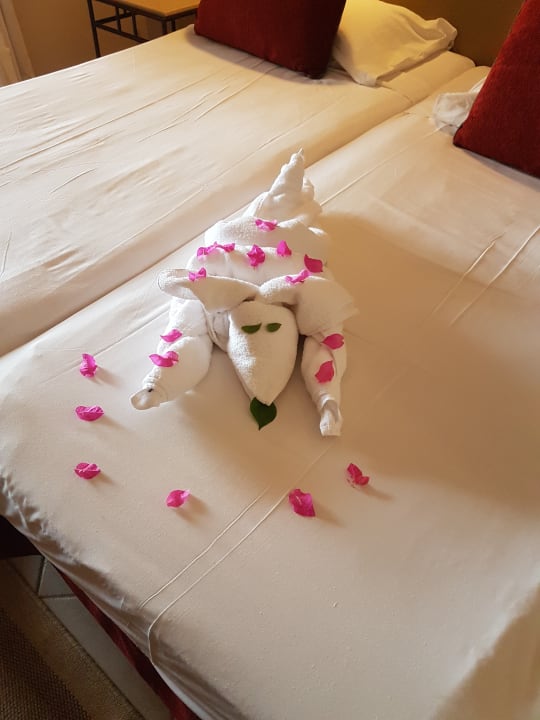 Zimmer Jaz Makadi Oasis Resort