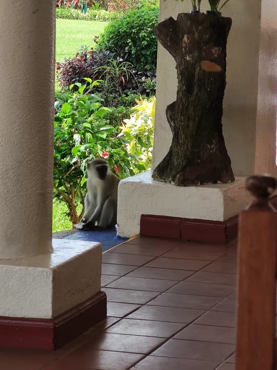 Außenansicht Reef Hotel Mombasa