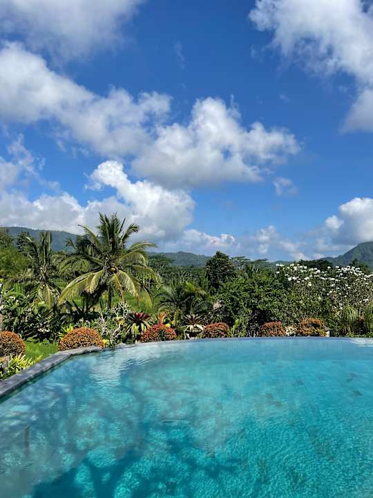 Pool Sawah Indah Villa