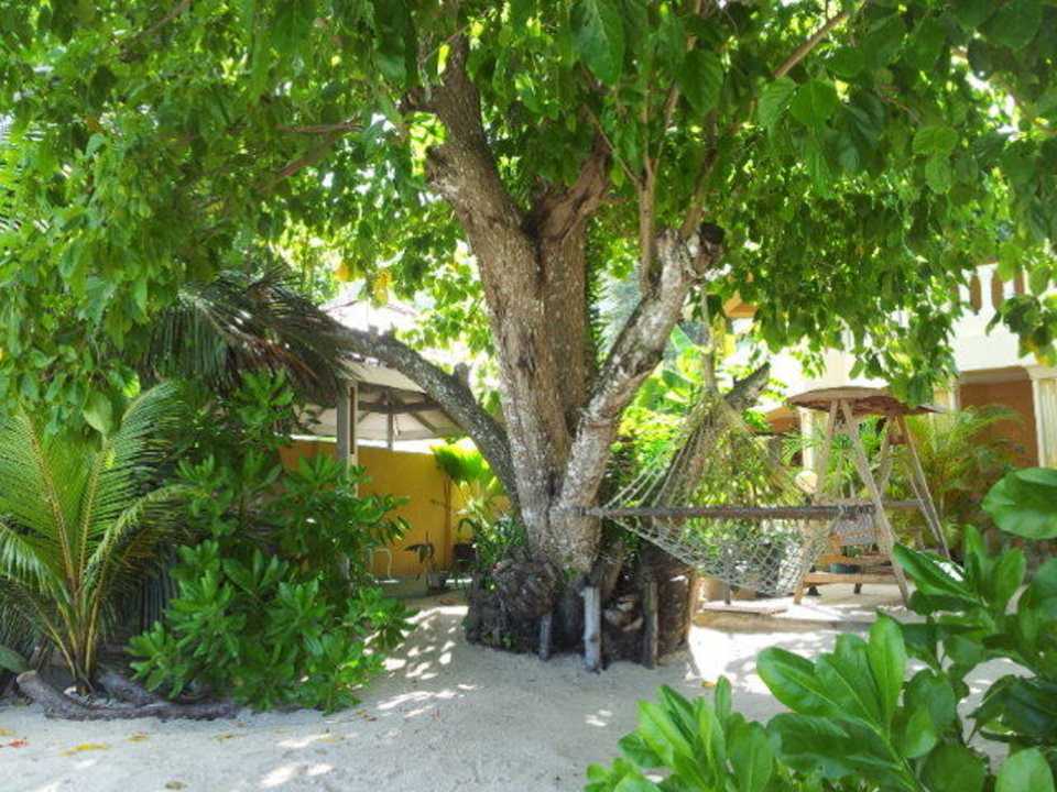 Hotel vom Strand aus Villa Dorado