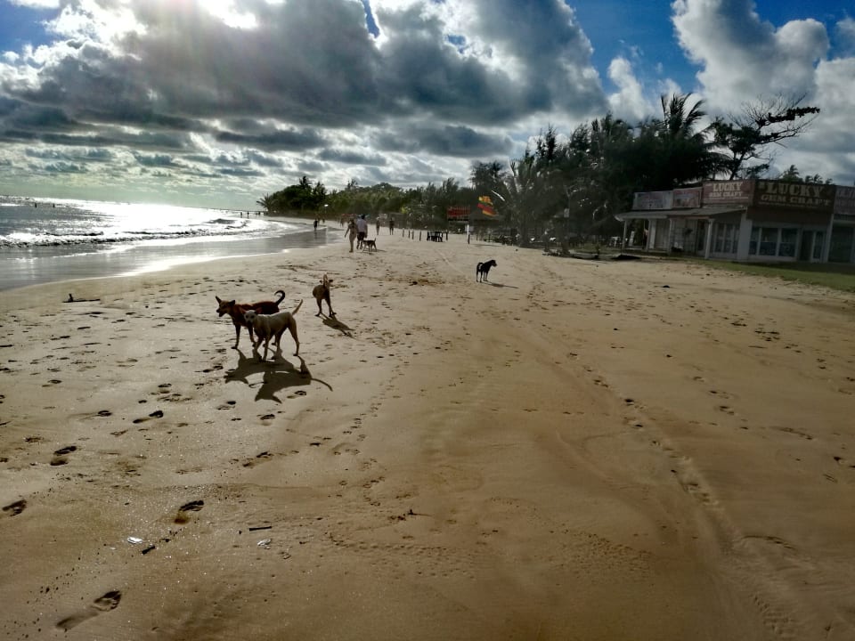 Strand Occidental Eden Beruwala, a member of Barcelo Hotel Group