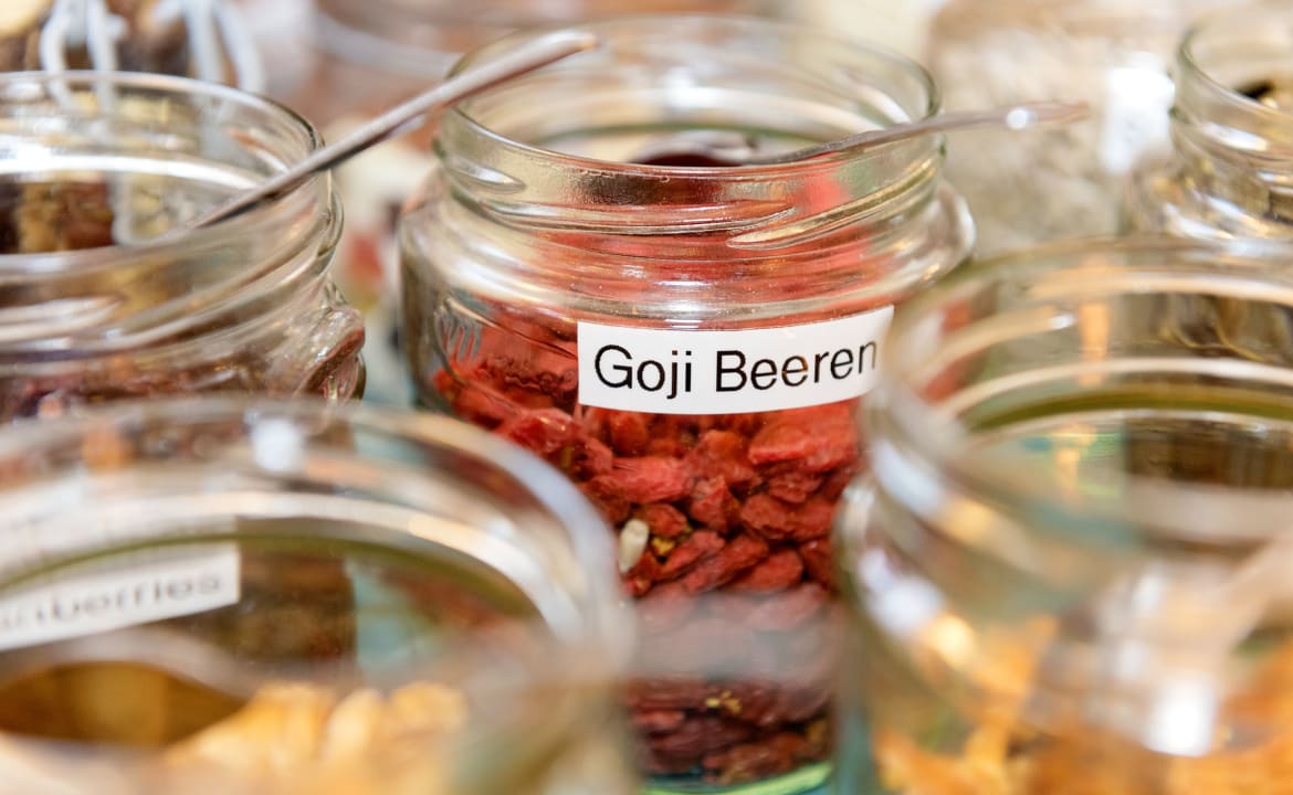 Gastro Hotel Potsdam am Katharinenholz