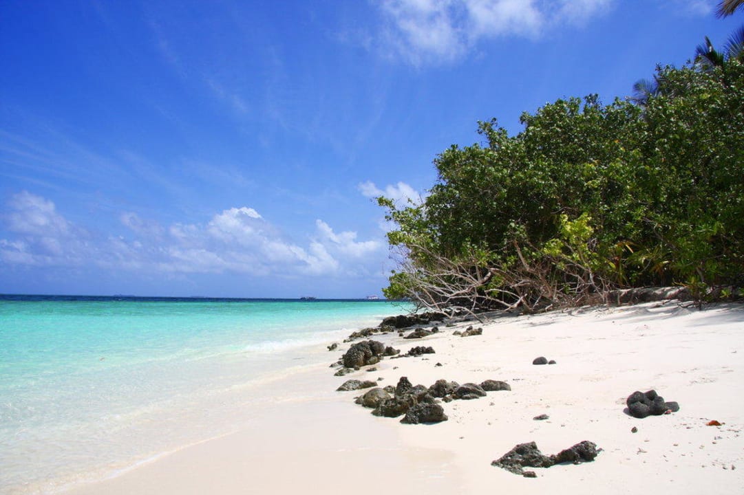 Hotel Vilamendhoo Island Resort Vilamendhoo Island Resort & Spa