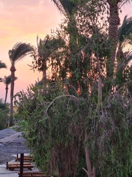 Außenansicht Grand Makadi