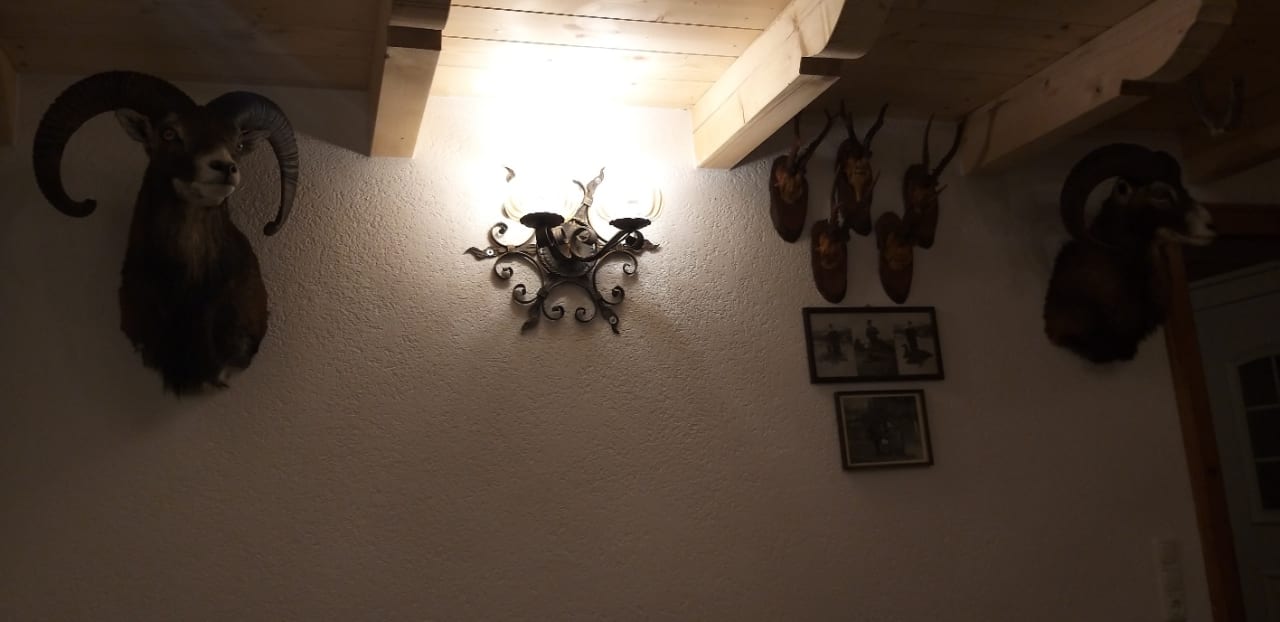 Sonstiges Hotel-Pension Ötzmooshof