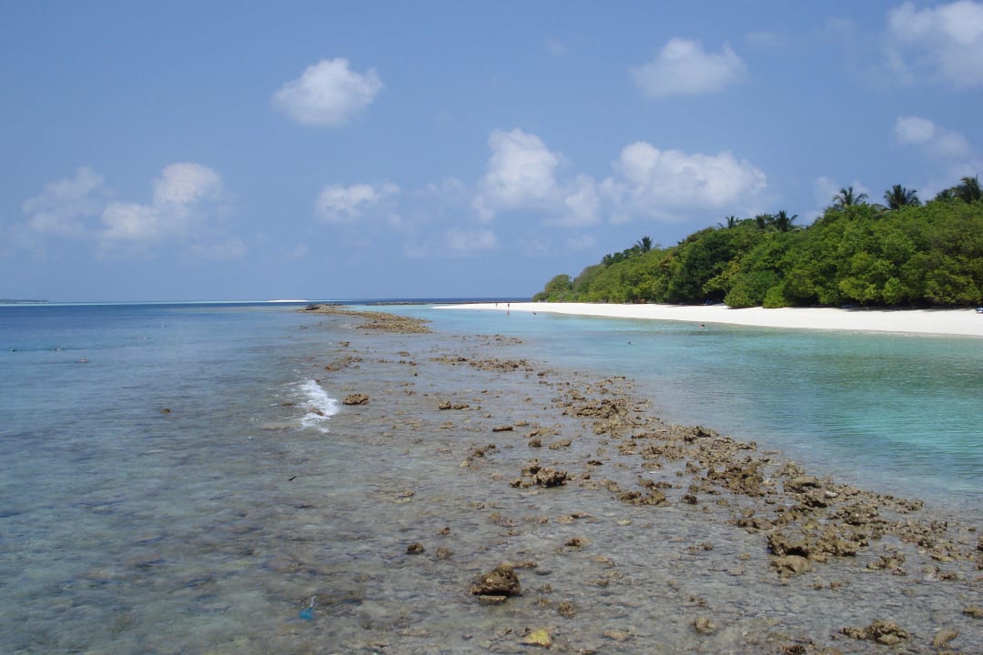 Bei Ebbe Royal Island