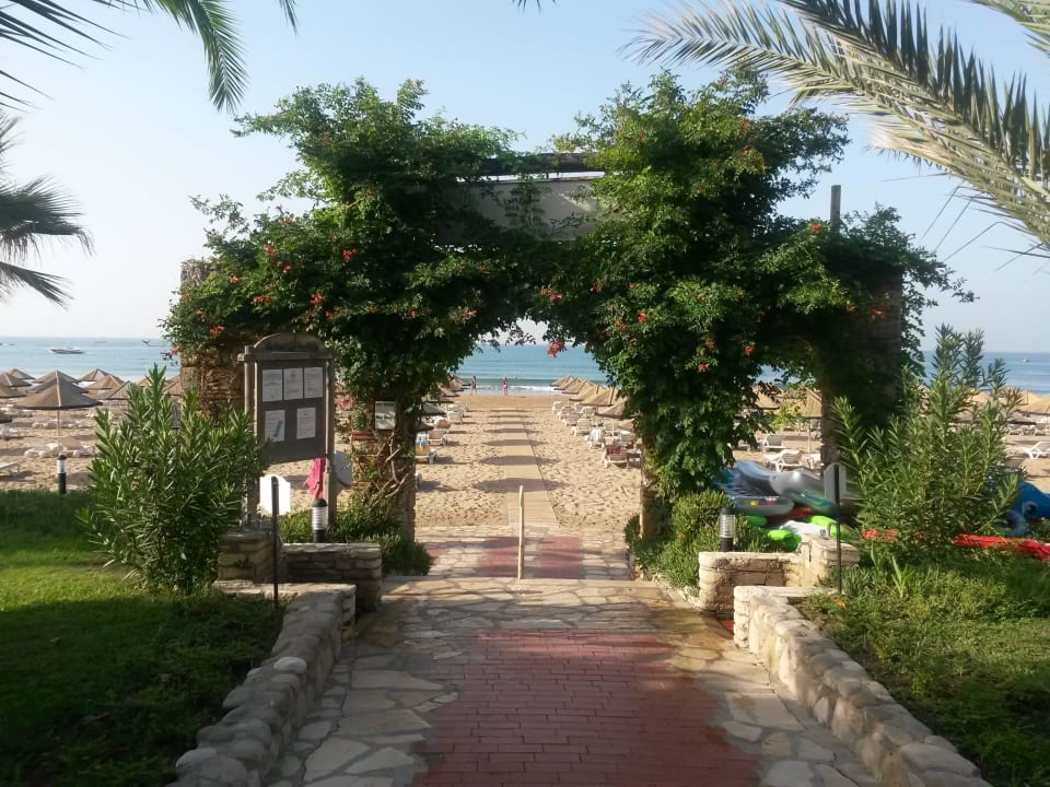 Weg zum Strand Hotel Defne Garden