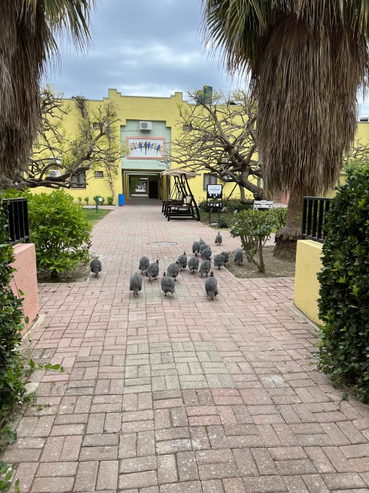 Gartenanlage VONRESORT Golden Beach