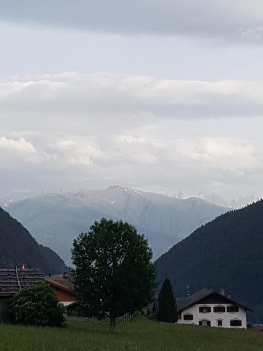 Ausblick Der Wiesenhof