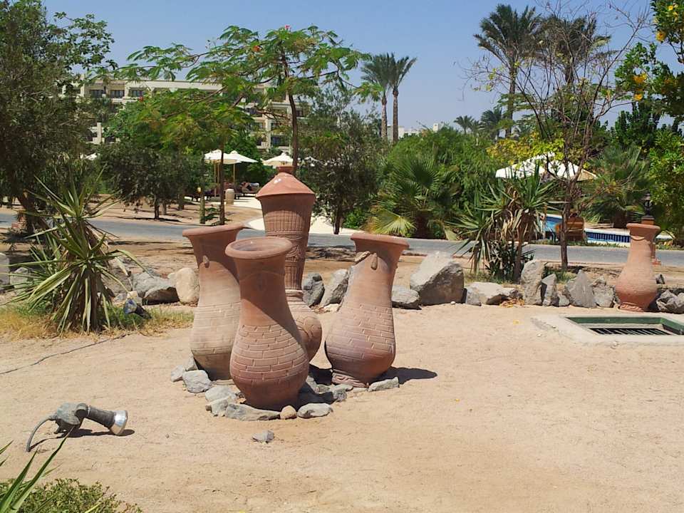 Super gepflegte Gartenanlage Steigenberger ALDAU Beach Hotel