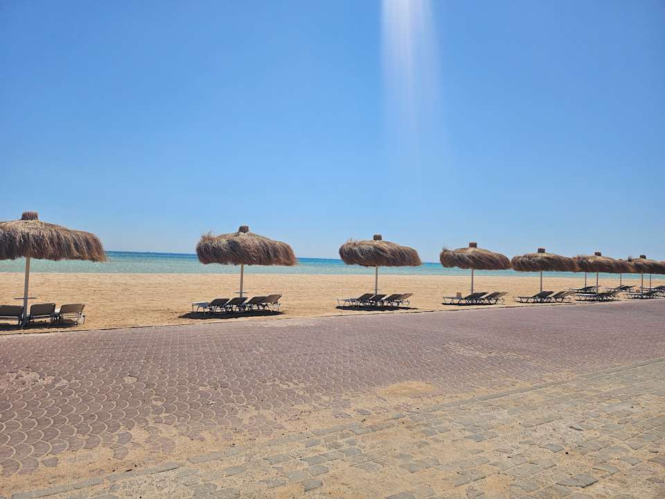 Strand JAZ Elite Asteria