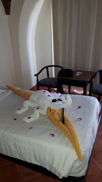 Zimmer Three Corners Sea Beach Resort