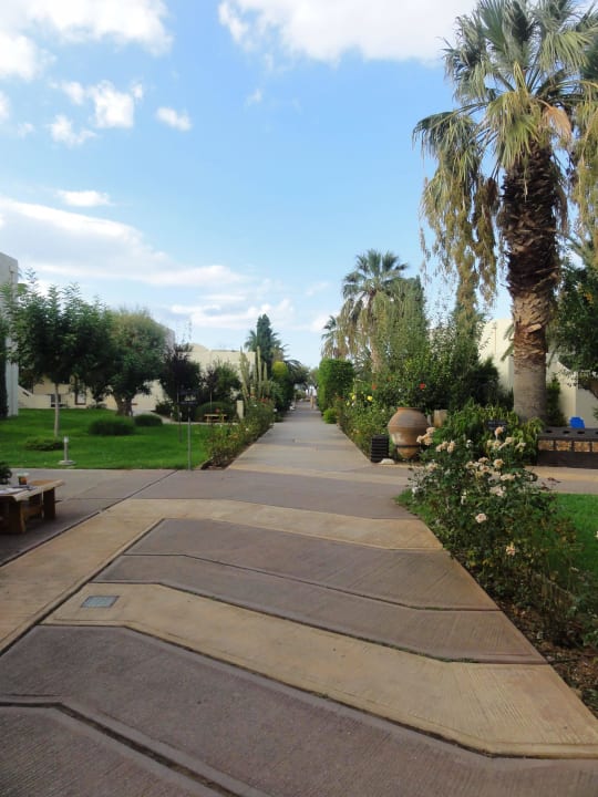 Wunderschöner Garten Phãea Cretan Malia