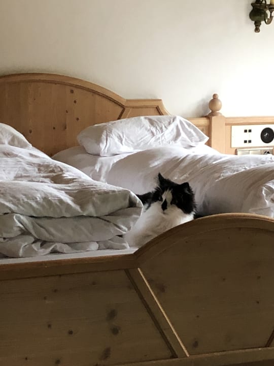 Sonstiges Hotel Gaspingerhof