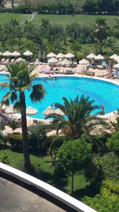 Pool Seaden Sea World Resort & Spa