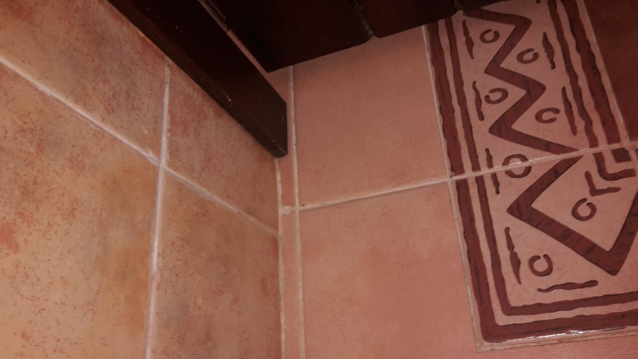 Bettwanzen Nest hinter Zarge Hotel Riu Touareg