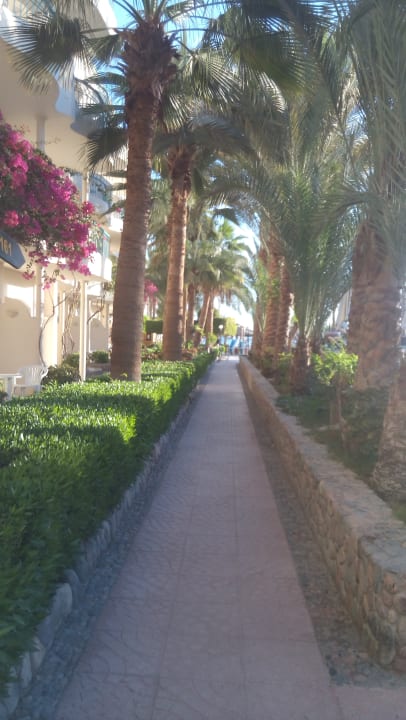 Gartenanlage Bella Vista Resort Hurghada