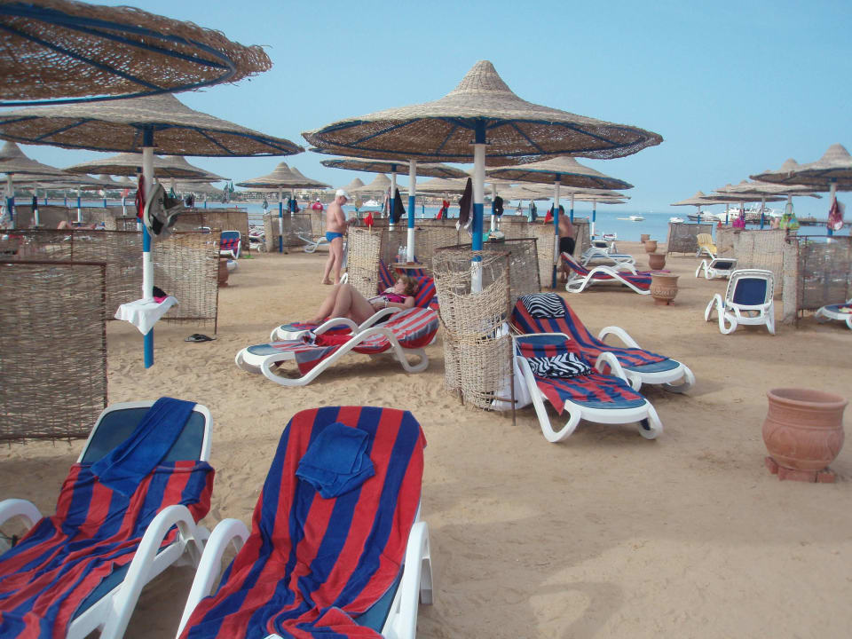 Strand mit Liegen Cleopatra Luxury Resort Makadi Bay