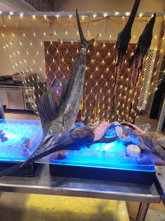 Gastro Cleopatra Luxury Resort Makadi Bay