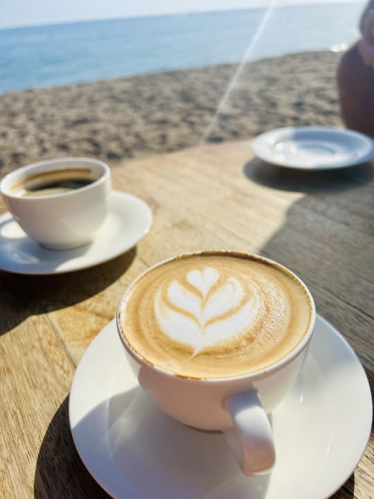 Gastro Paloma Finesse