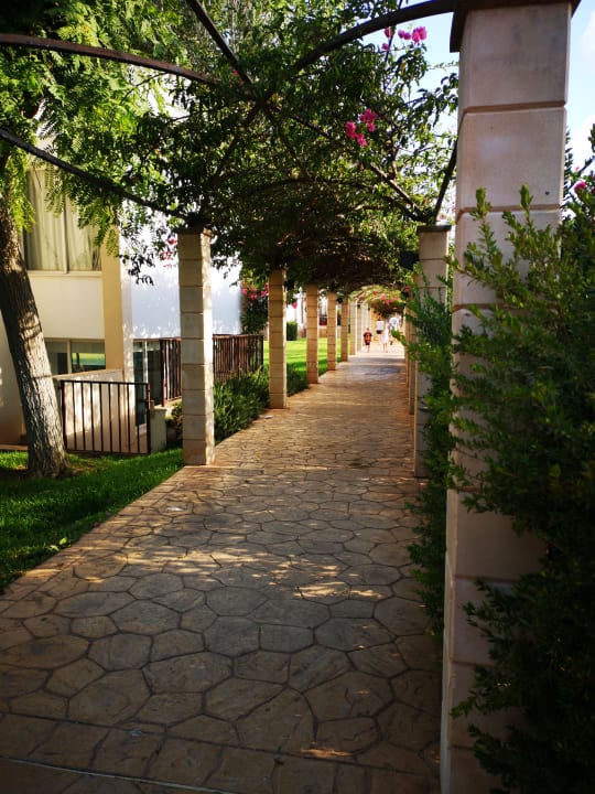 Garten Protur Floriana Resort Aparthotel