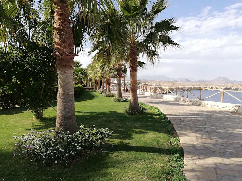 Gartenanlage Sharm Club Beach Resort