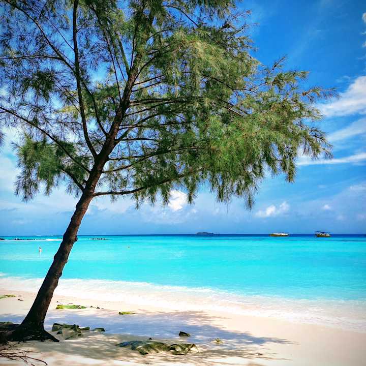 Strand Summer Island Maldives