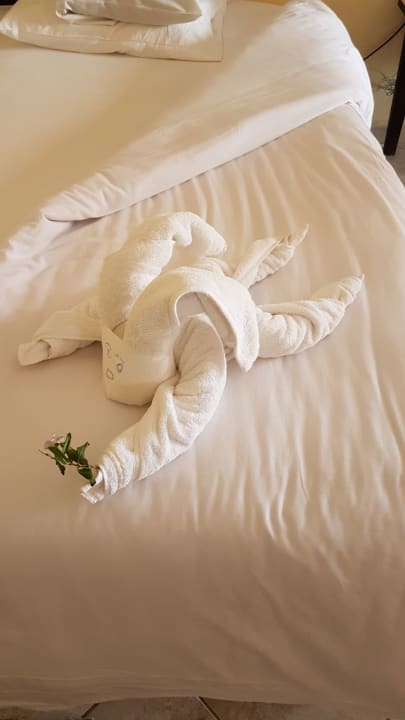 Danke Mahmoud Casa Mare Resort