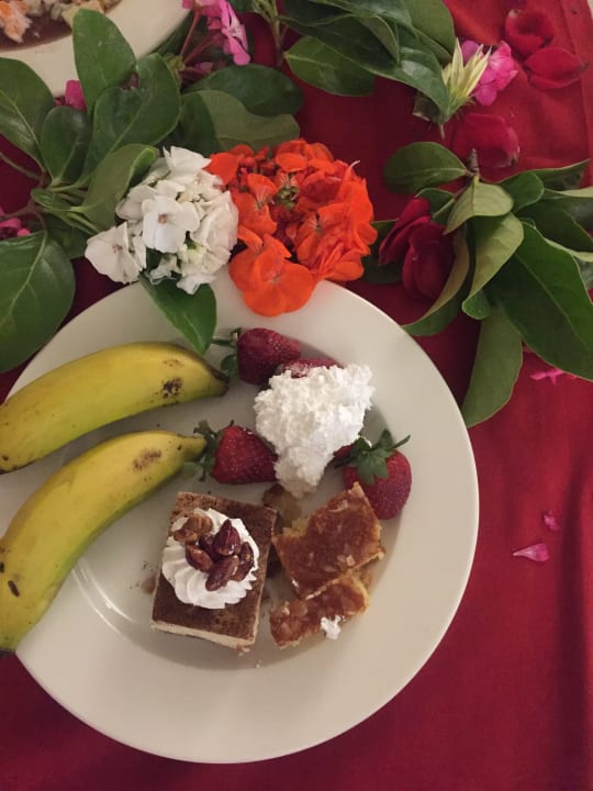 Gastro Well Palace Side