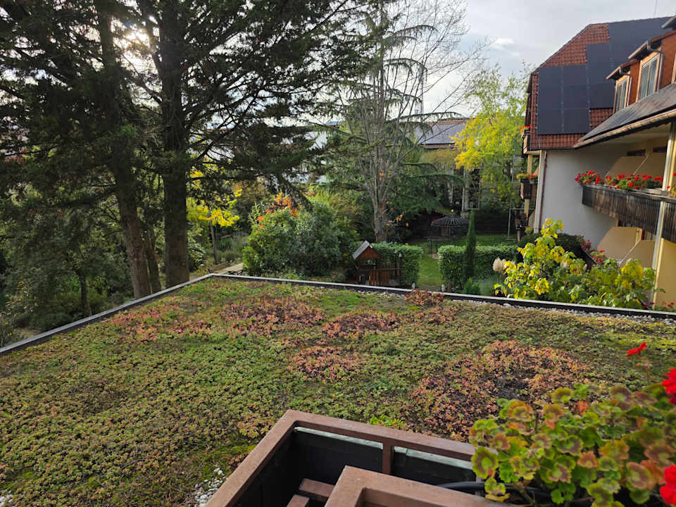 Zimmer Hotel Residenz Immenhof