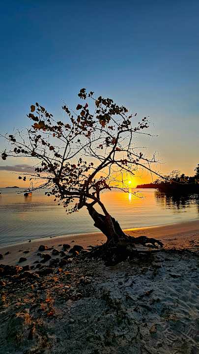 Strand Hotel Riu Negril