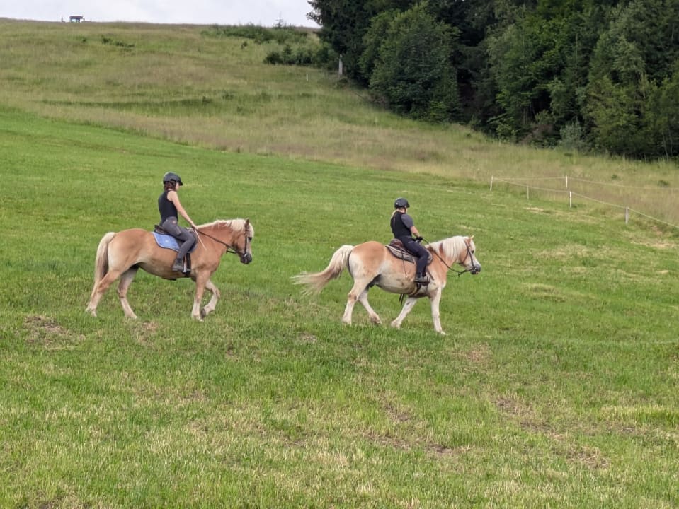 Sport & Freizeit Aparthotel Ederhof