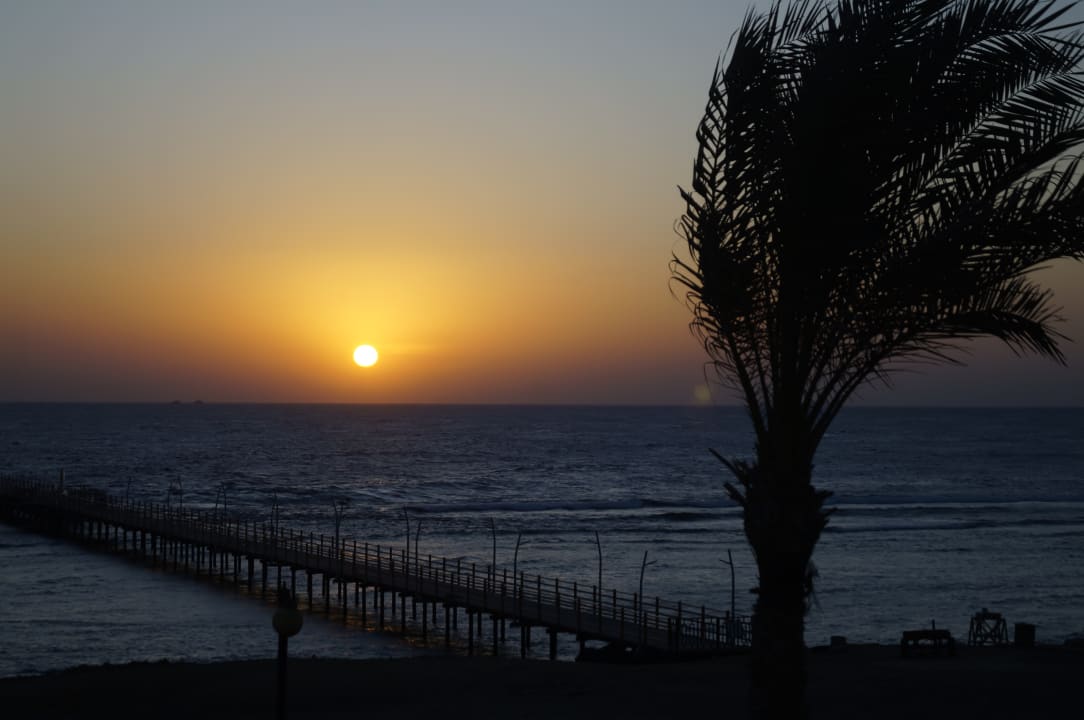 Ausblick Malikia Resort Abu Dabbab