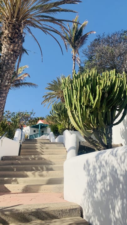 Gartenanlage Aldiana Club Fuerteventura