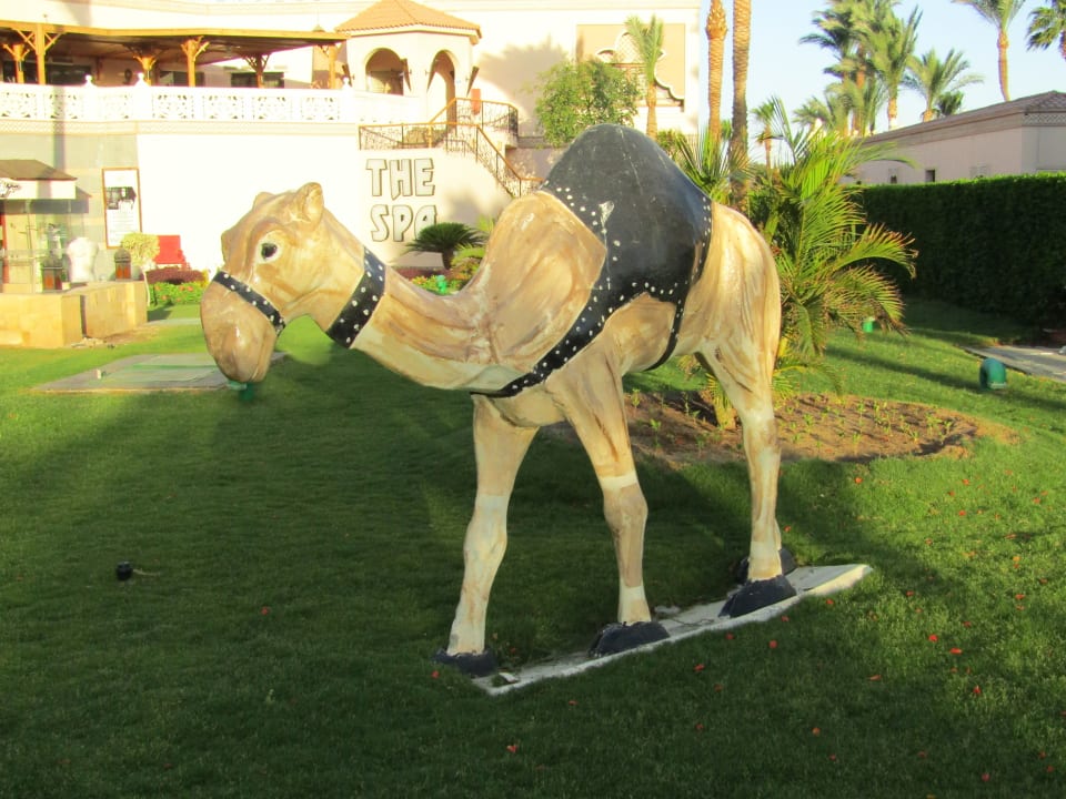 Gartenanlage Pickalbatros Palace Resort