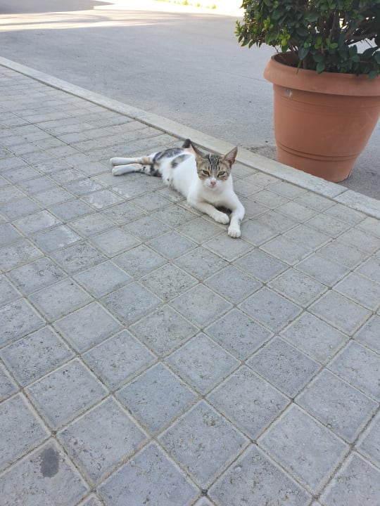 Sonstiges Harmony Boutique Resort