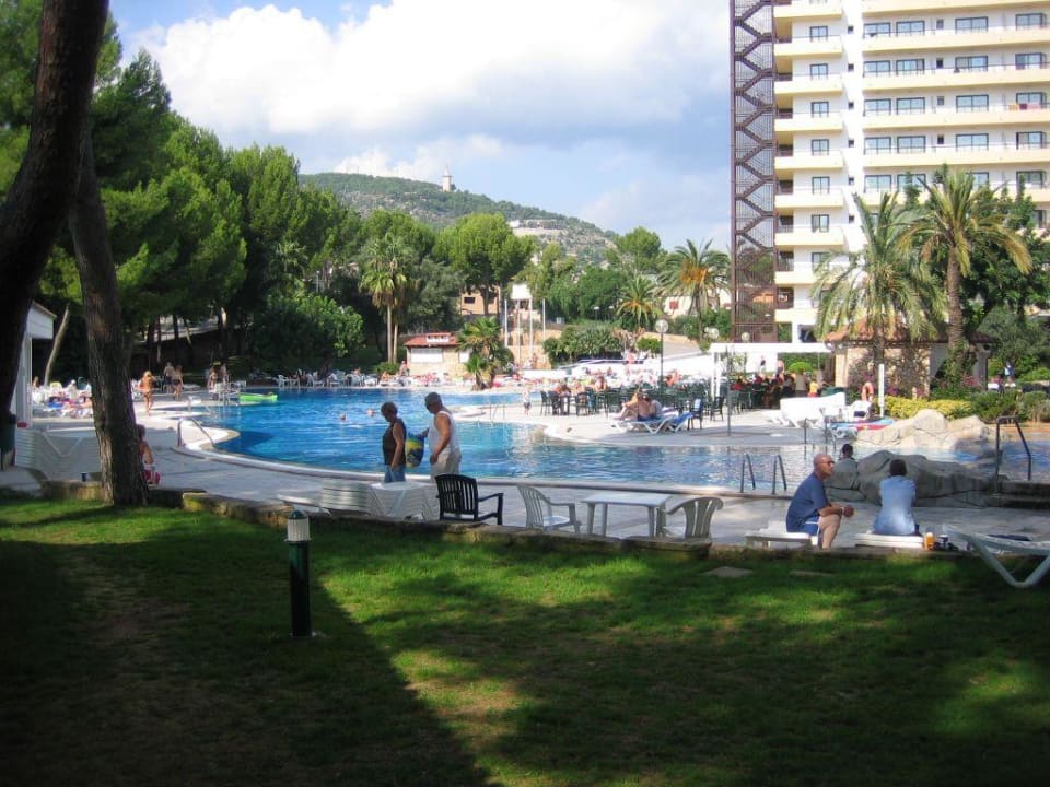 Blick auf den schönen Pool BQ Belvedere Hotel