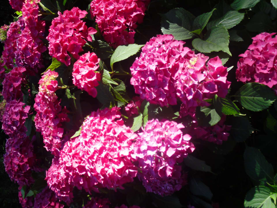 Gartenanlage Landhuus Laurenz