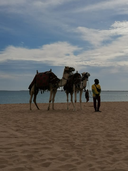 Strand Shams Safaga Resort