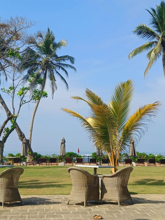 Gastro Earl’s Reef Beruwala