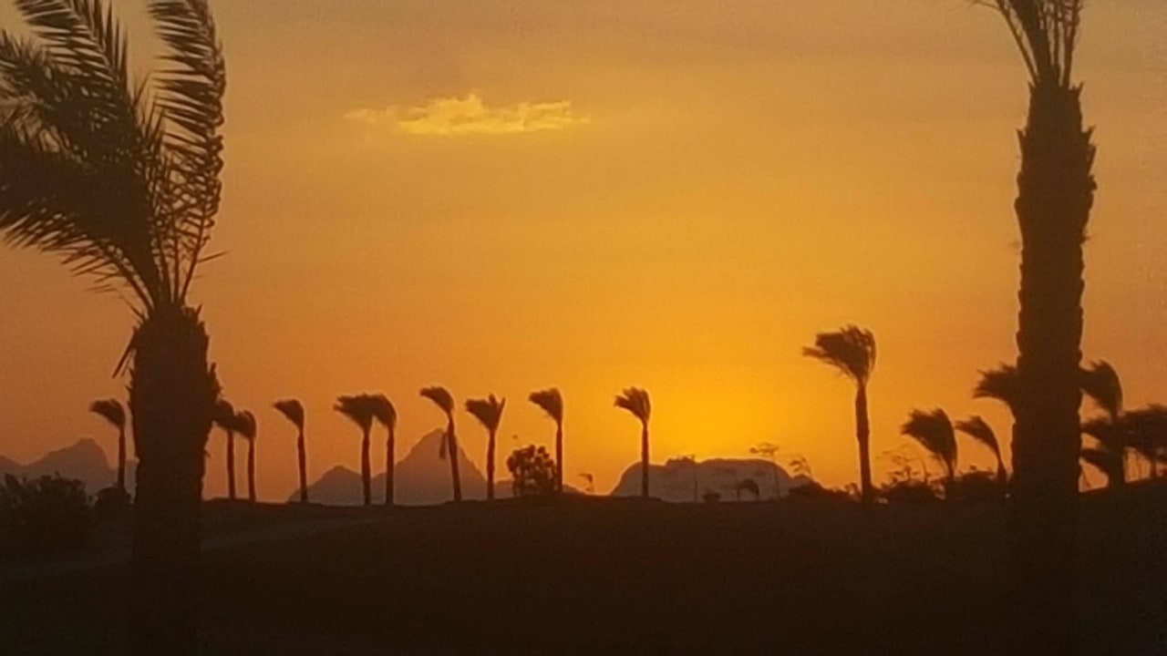 Ausbkick Zimmer Steigenberger Makadi Hotel - Adults only